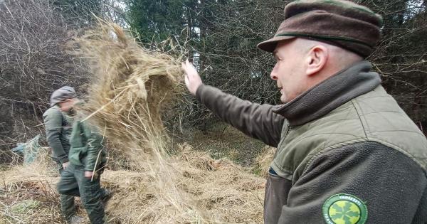 A vadásztársaságok izgatottan készülnek a közelgő vezetőségválasztásokra.