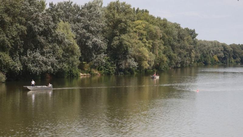 A nyugtatók és antidepresszánsok szennyezik az élővizeinket, így a Tisza-tó sem mentes ettől a problémától.