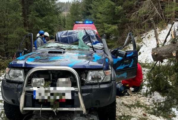 Súlyos sérüléseket szenvedett egy fiatal férfi, amikor egy fa váratlanul ráborult az autójára.